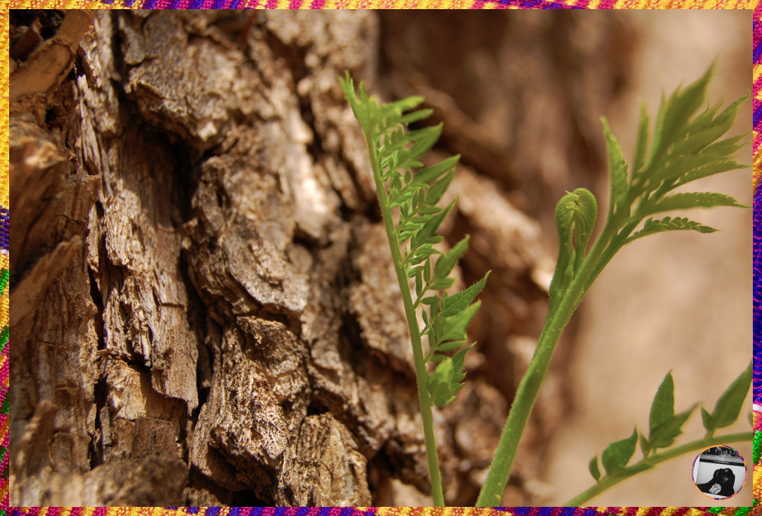 📸 20/20 STUDIOS™ PRINT