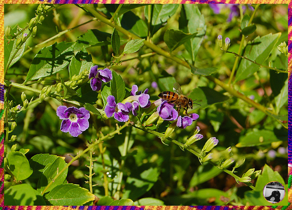 📸 20/20 STUDIOS™ PRINT