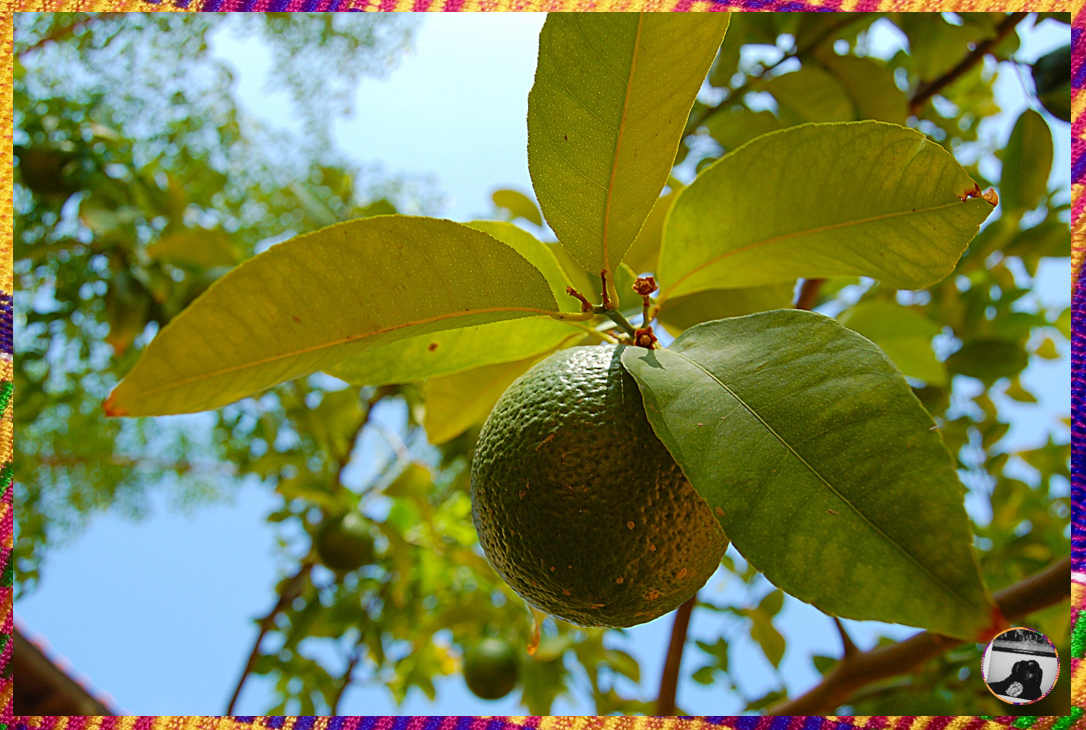 📸 20/20 STUDIOS™ PRINT