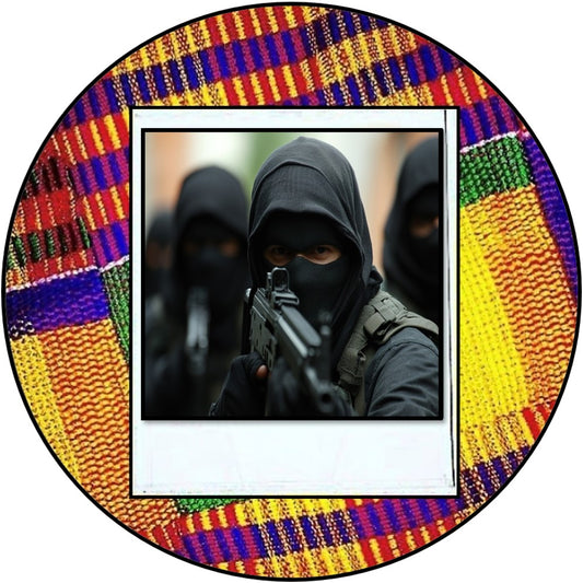{🌏}°(12) ANTI-TRANSNATIONAL ORGANIZED CRIME